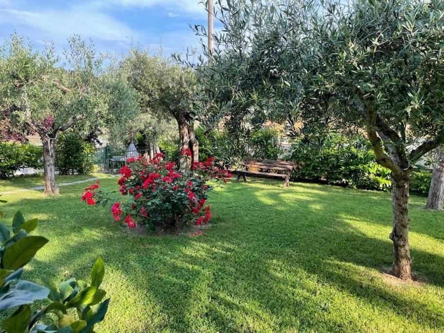 La Dimora Delle Rose Apartment Passignano sul Trasimeno Bagian luar foto